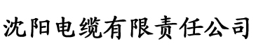 色se01短视频永久免费电缆厂logo